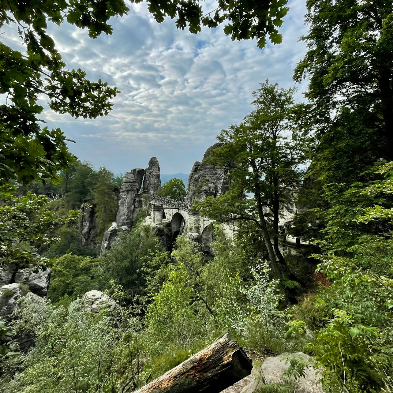 Bohemian Switzerland & Saxon National Parks: Tour from Dresden - Photo 1 of 6